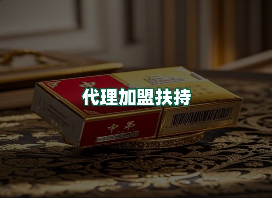 核心优势